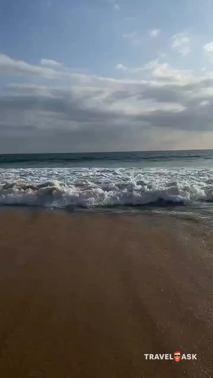 video__preview