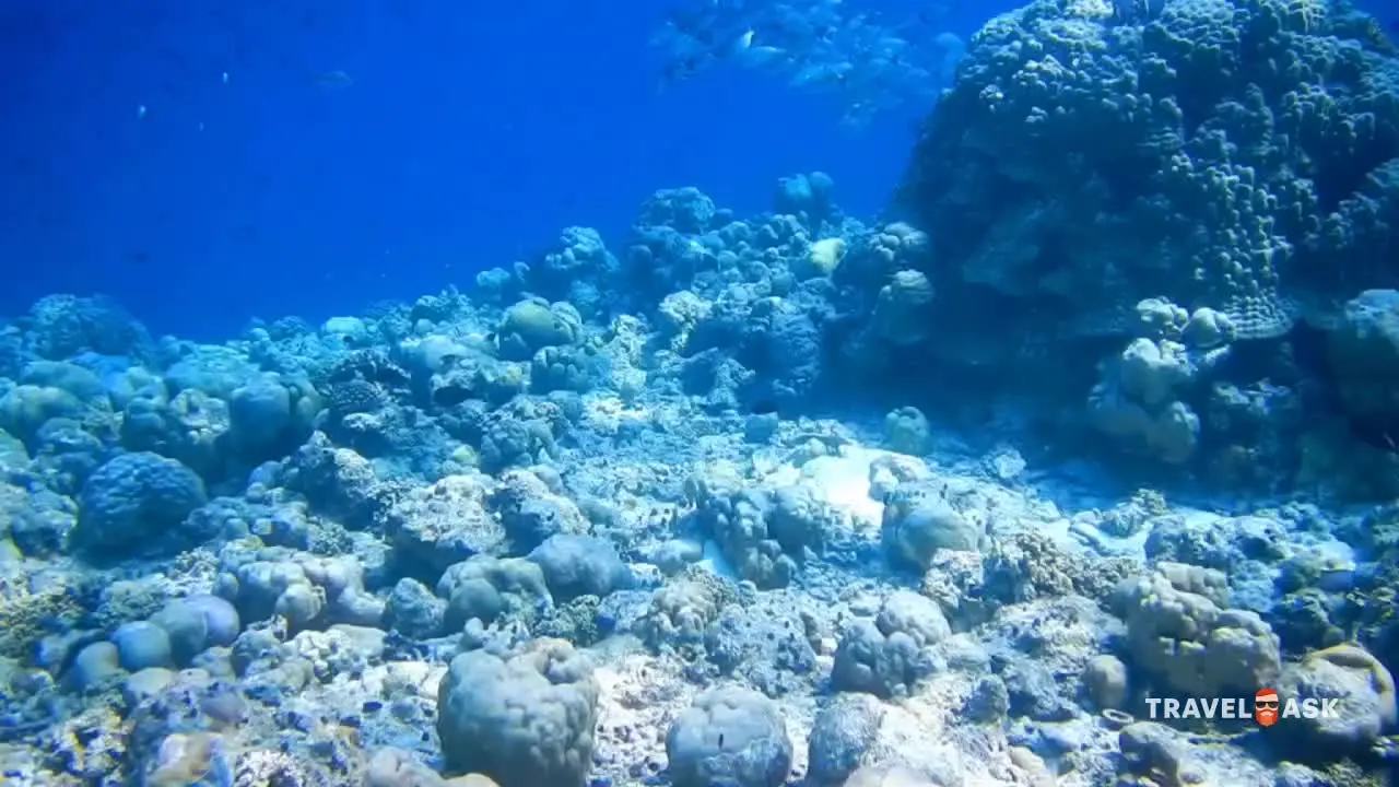 Furaveri Island Resort & Spa
