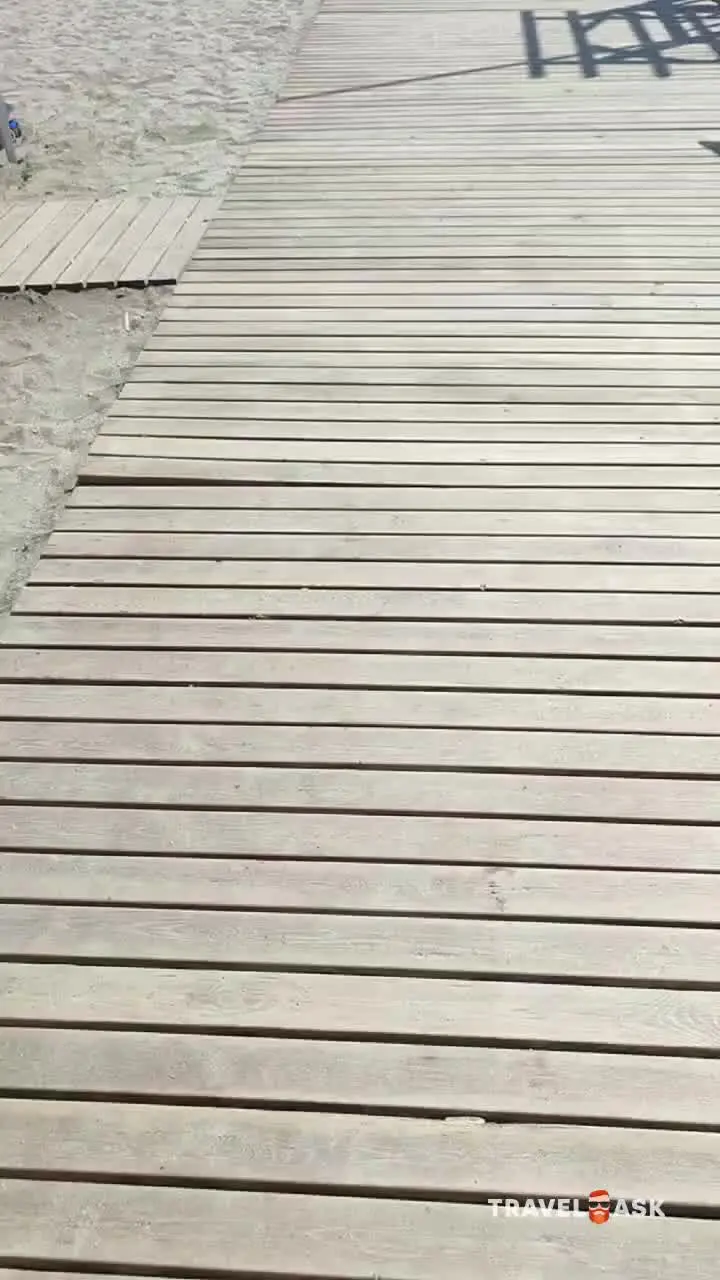 video__preview