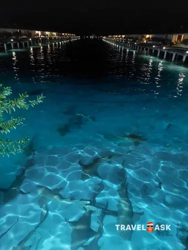 Villa Park (Ex.Sun Island Resort & Spa)