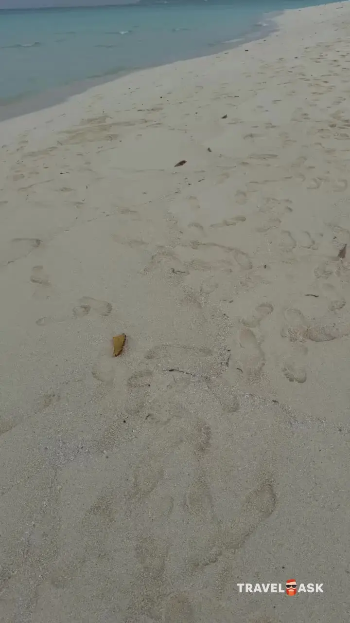 video__preview