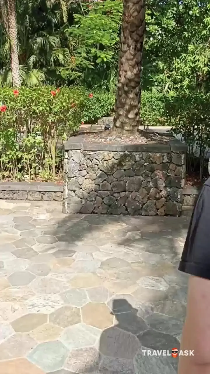 video__preview