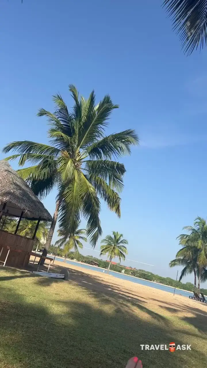 video__preview