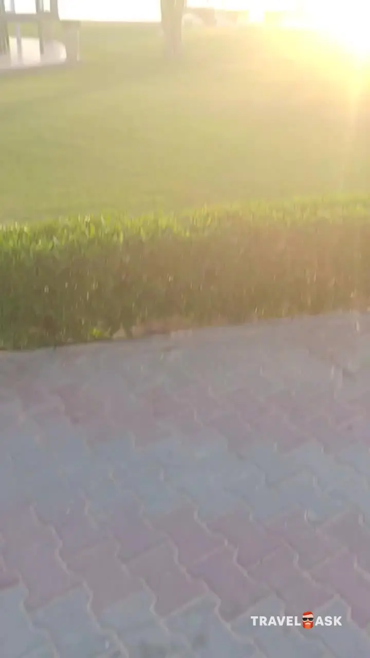 video__preview