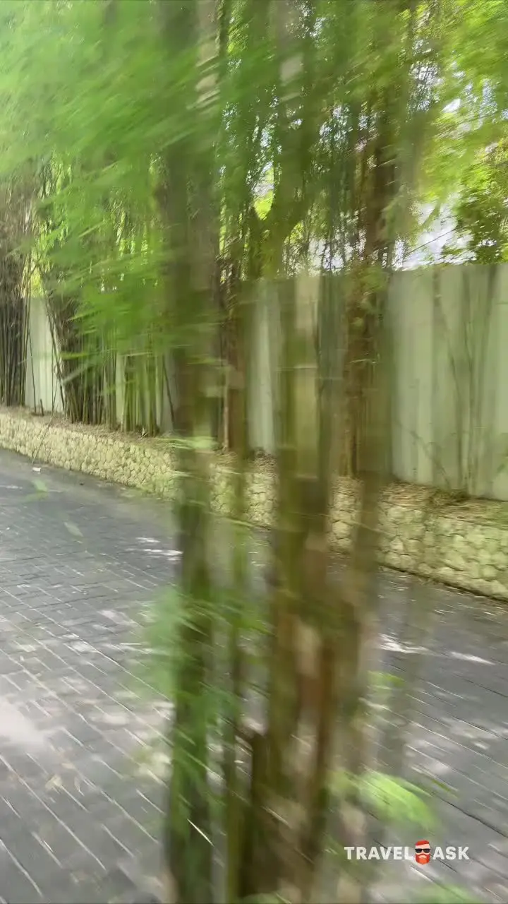 video__preview
