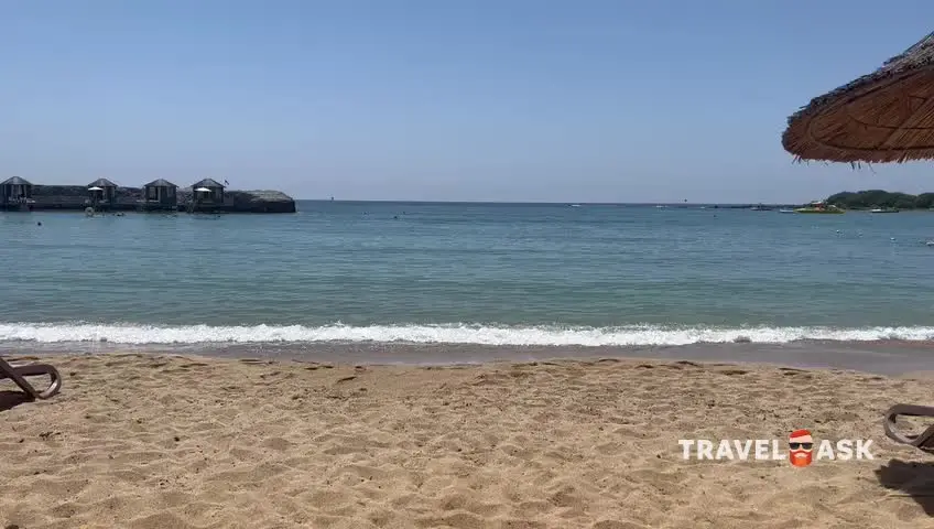 video__preview
