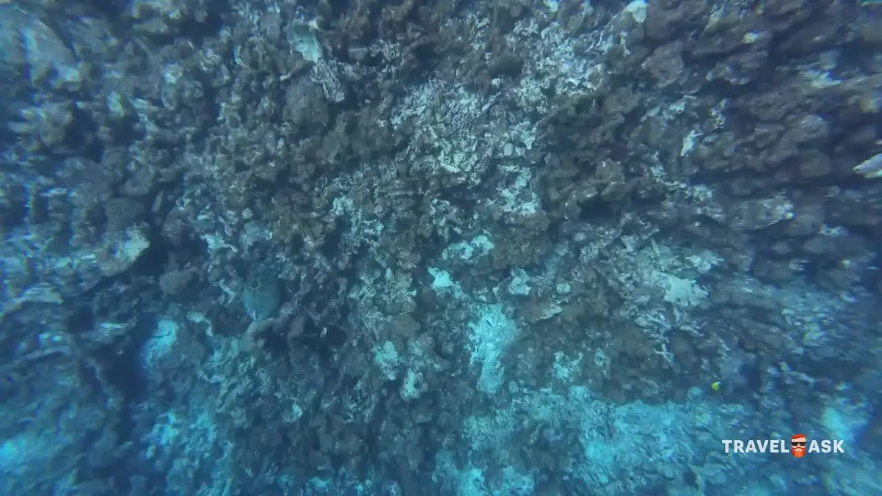 Hondaafushi Island Resort