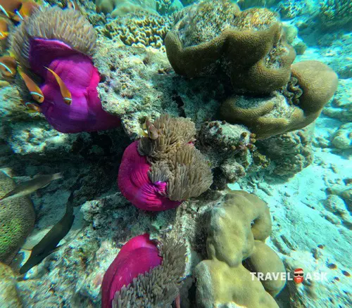 Filitheyo Island Resort