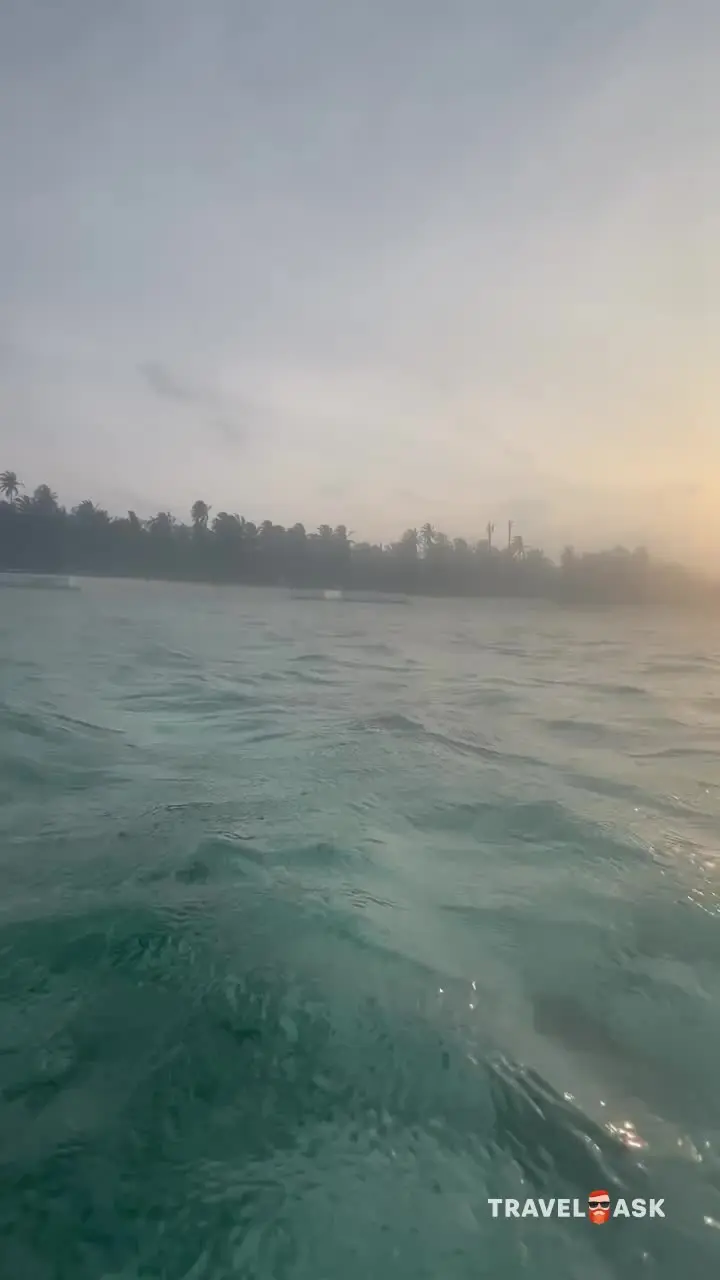 video__preview