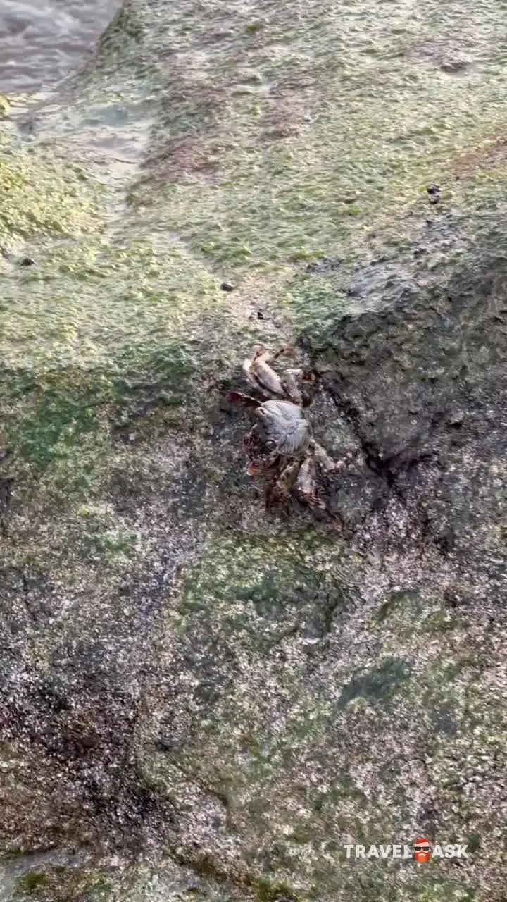 Intercontinental Fujairah Resort