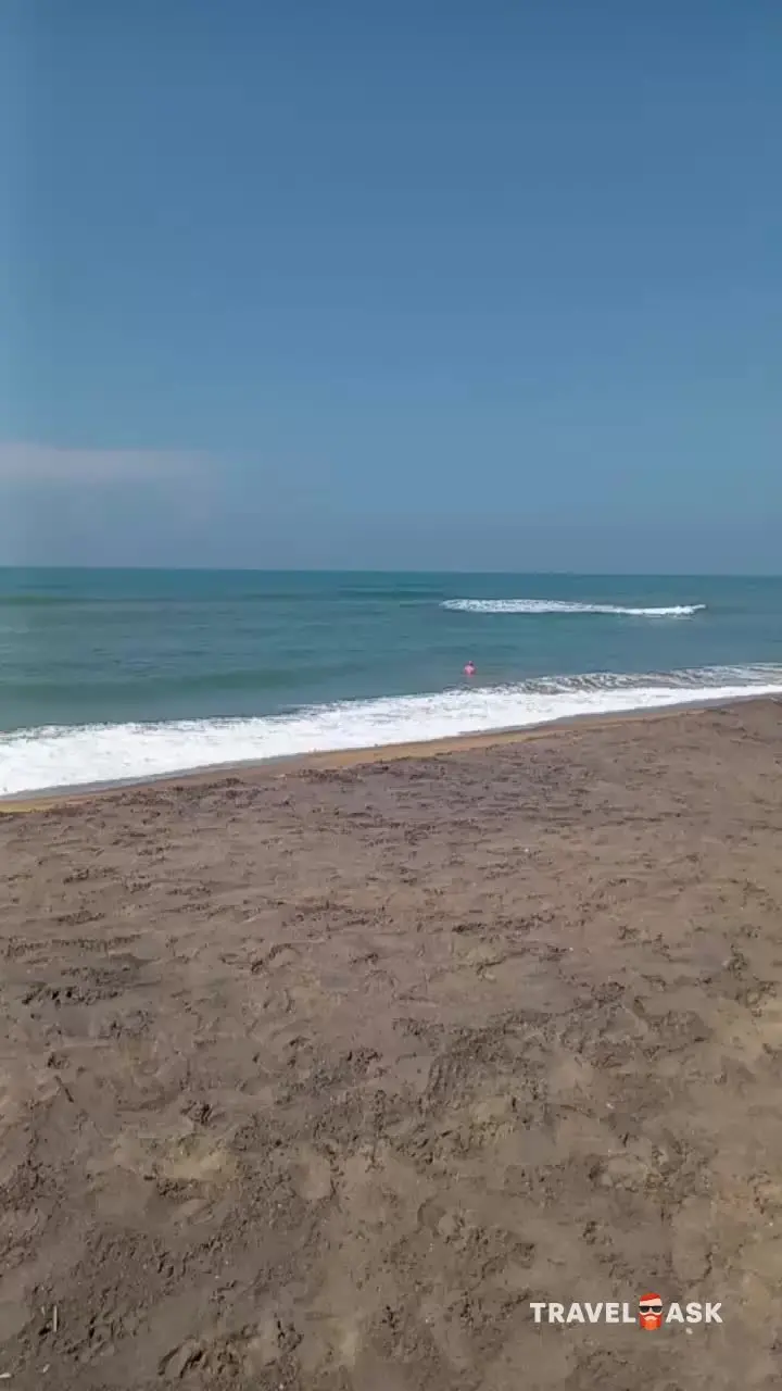 video__preview