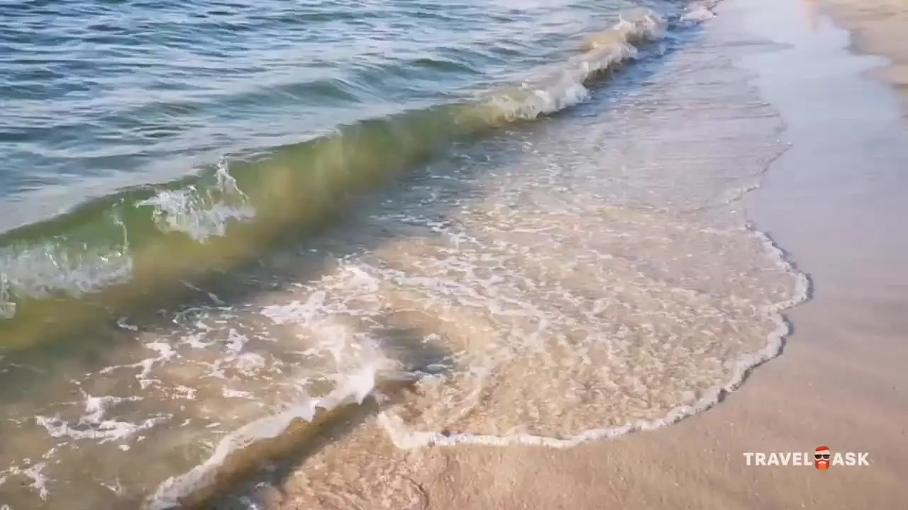 video__preview