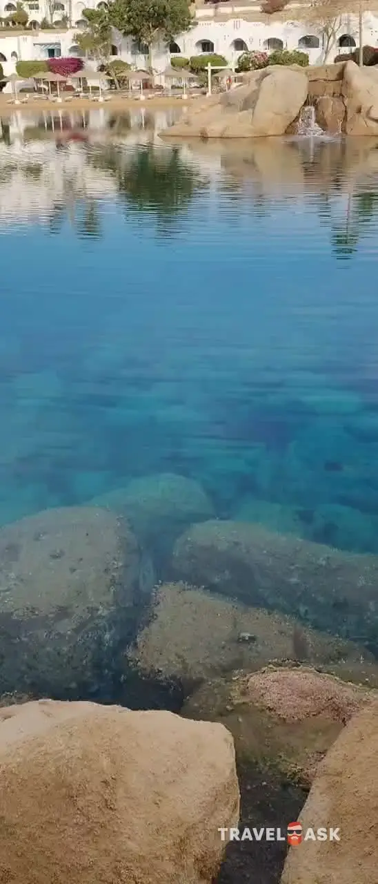 video__preview