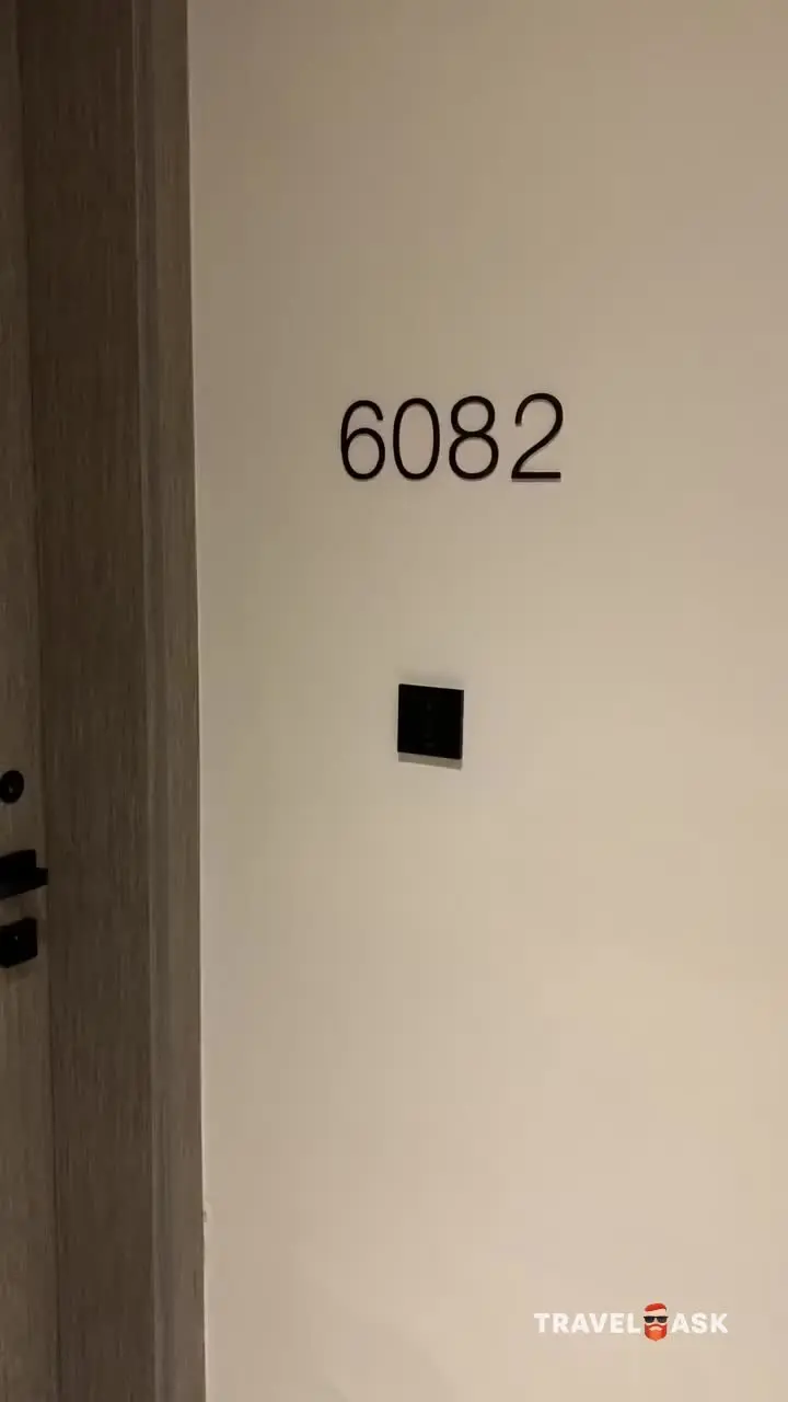 Th8 Palm
