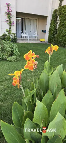 Jaz Solymar Soma Beach