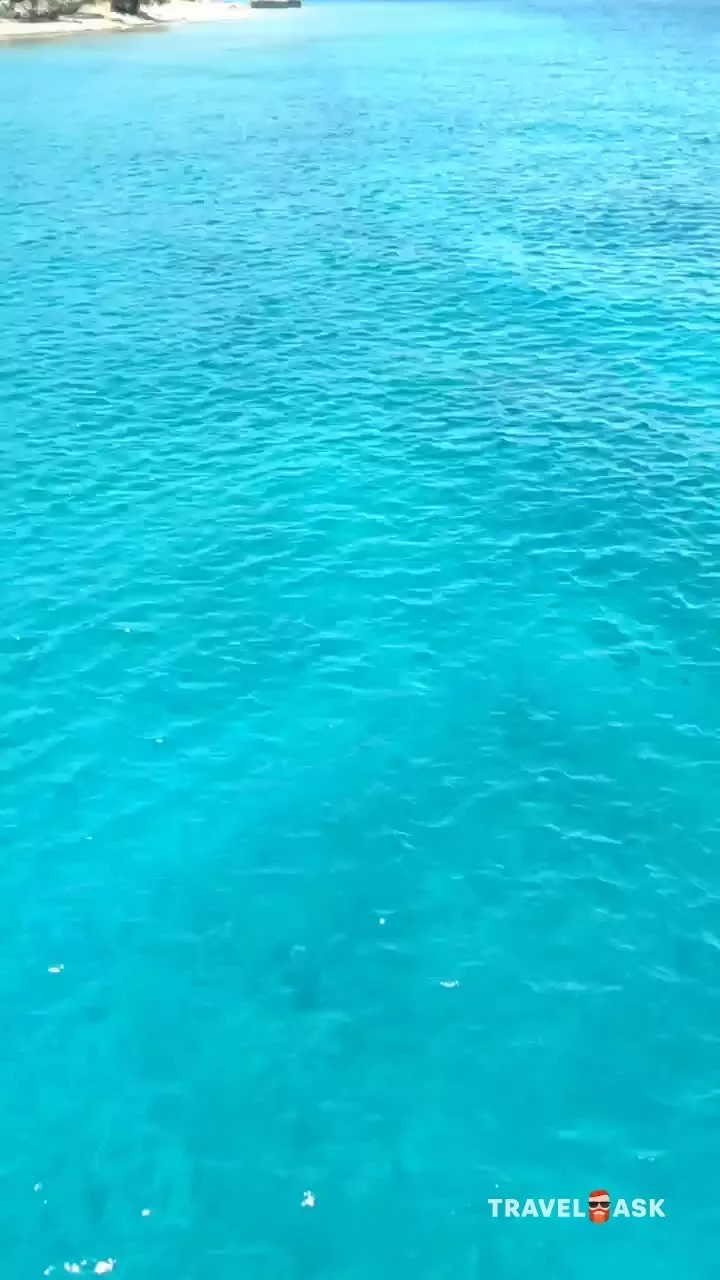 video__preview