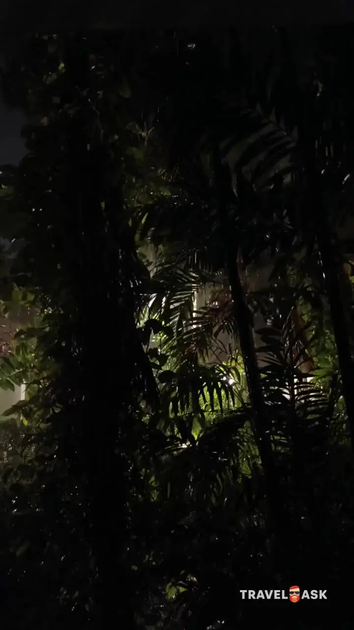 video__preview