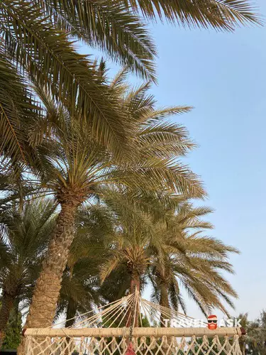 Al Hamra Residence