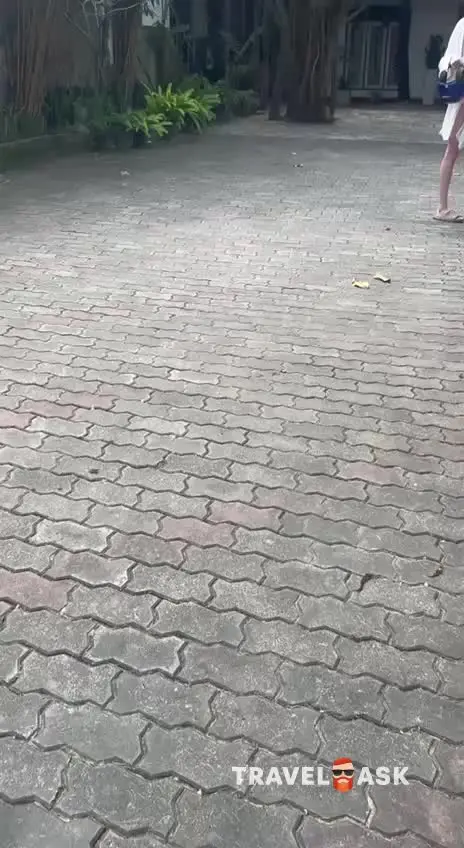 video__preview