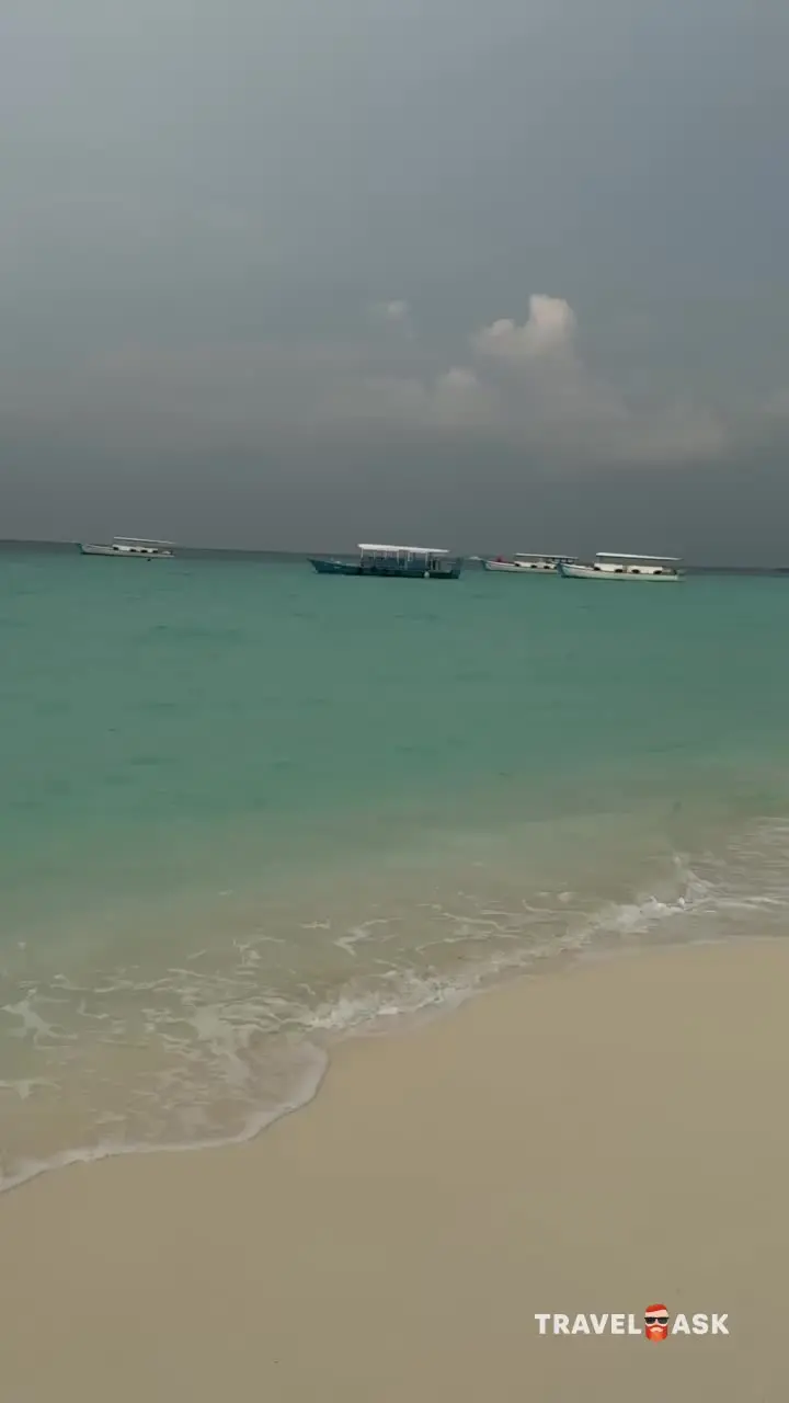 video__preview