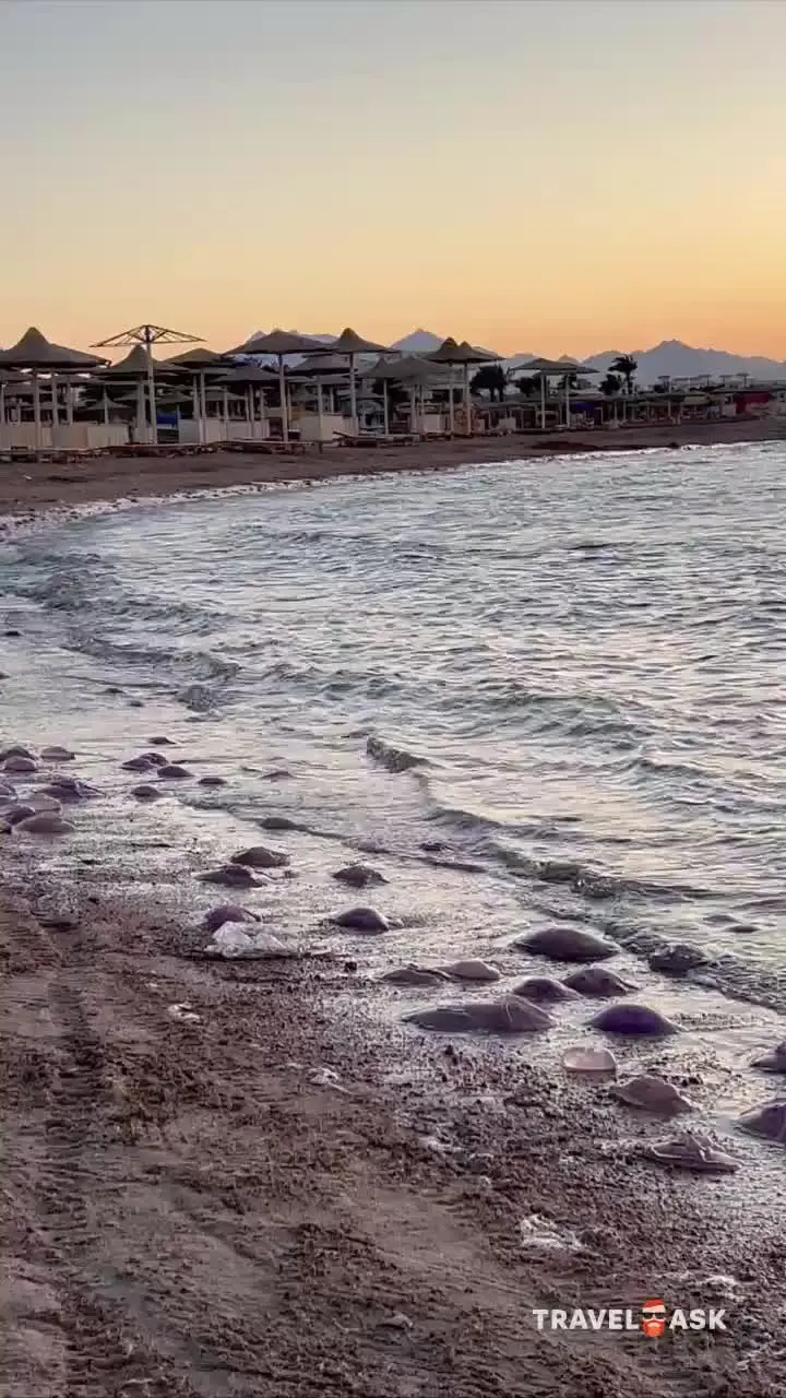Long Beach Resort Hurghada (Ex. Hilton Long Beach Resort)