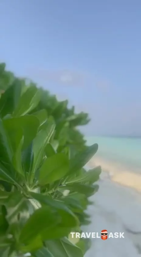 video__preview