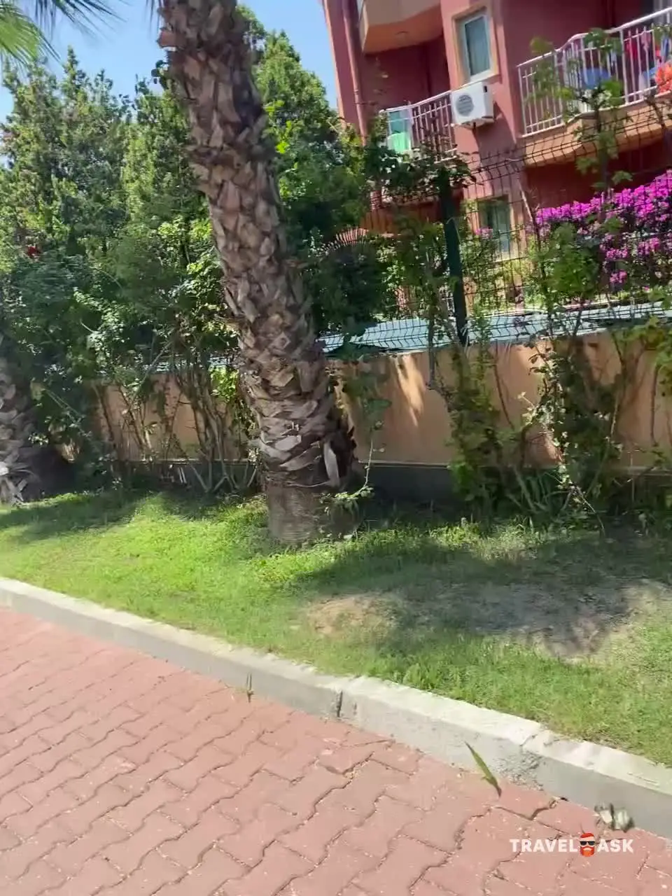 video__preview
