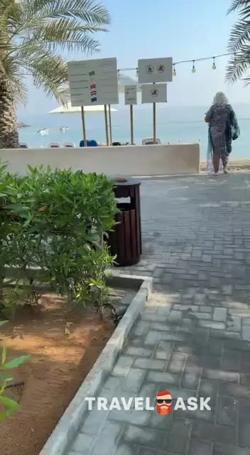 video__preview