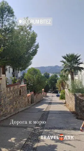 Riva Bodrum Resort (Adults Only 16+) (Ex. Art Bodrum Hotel & Club)
