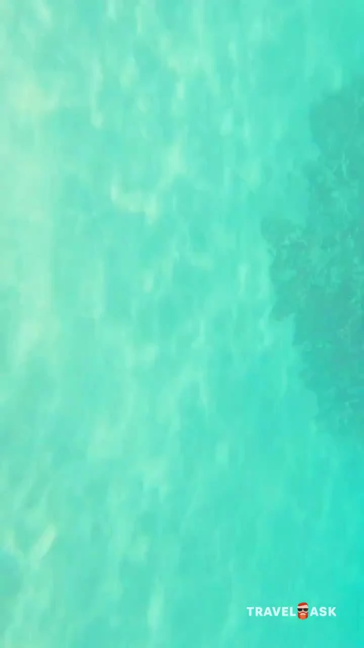 video__preview