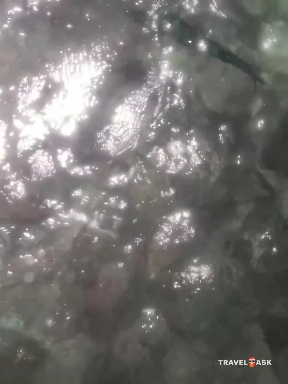video__preview