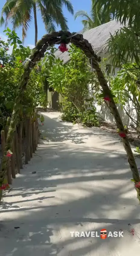 Cocoon Maldives