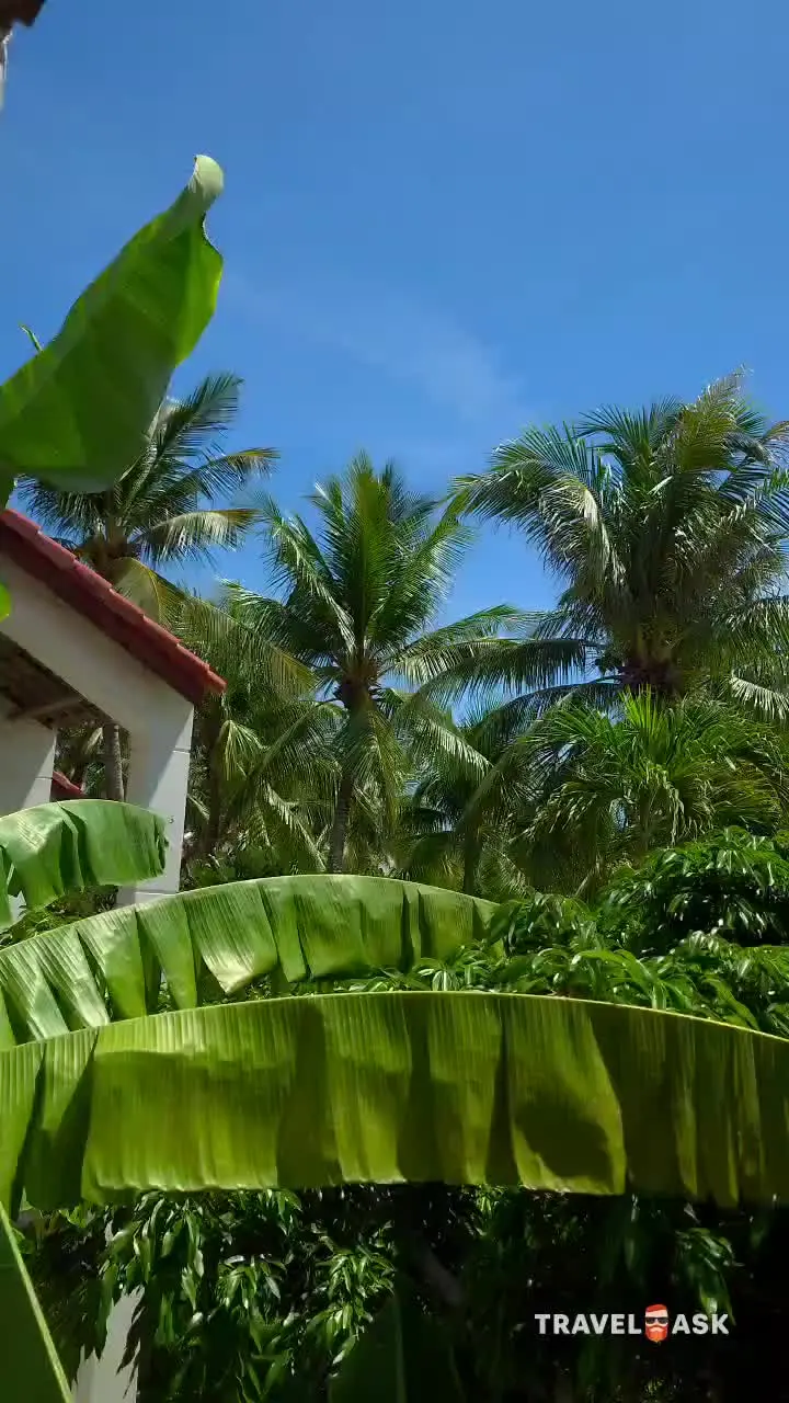 Pax Ana Doc Let Resort & Spa