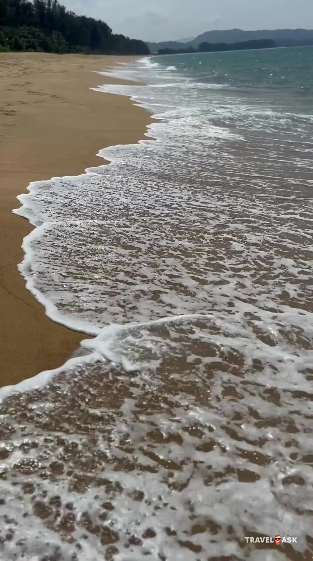 video__preview