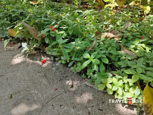 Mercure Kooddoo Maldives (Adults Only 18+)