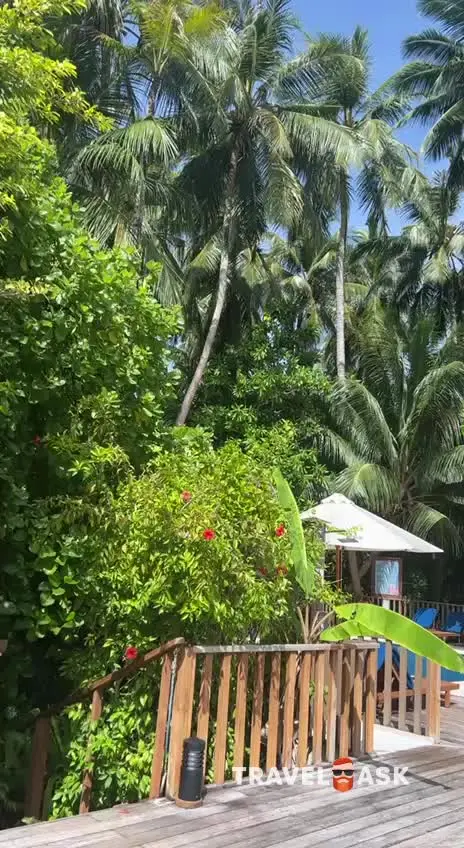 video__preview