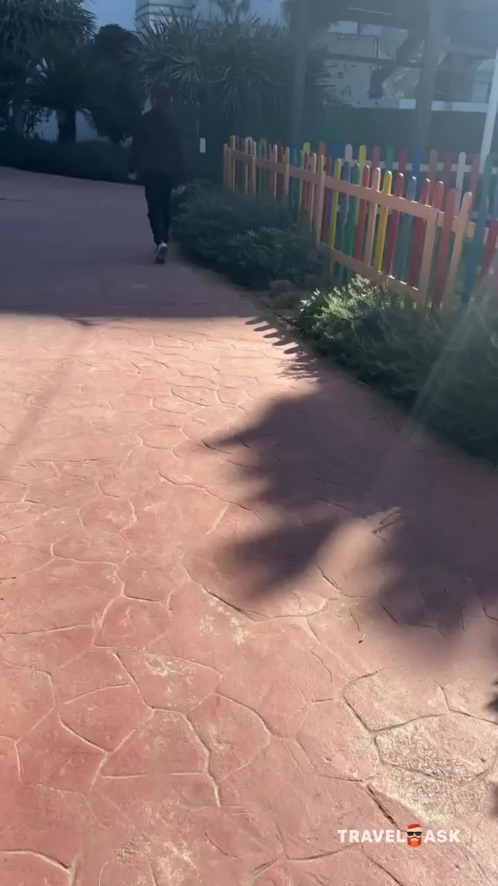 video__preview