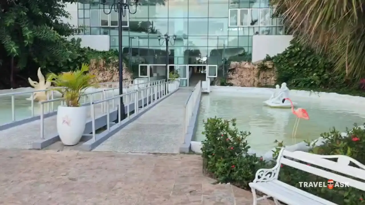 video__preview