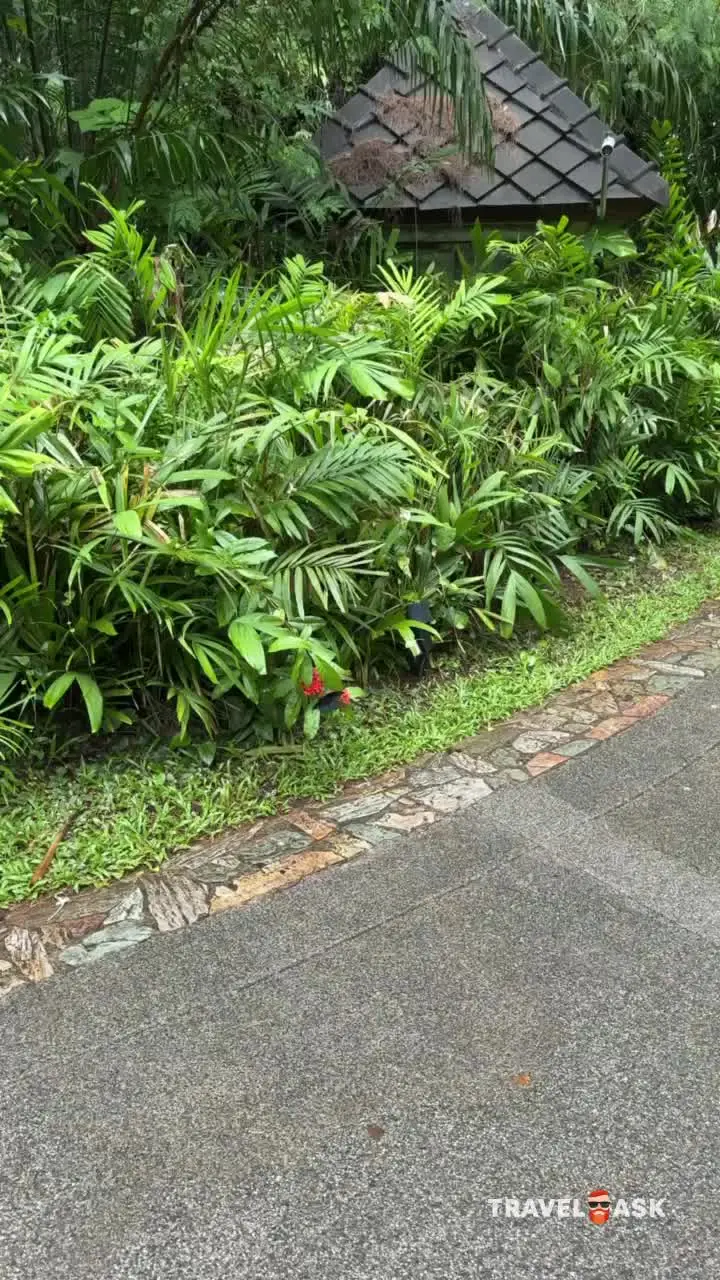 Robinson Club Khao Lak (Ex.Pullman Katiliya Khao Lak)
