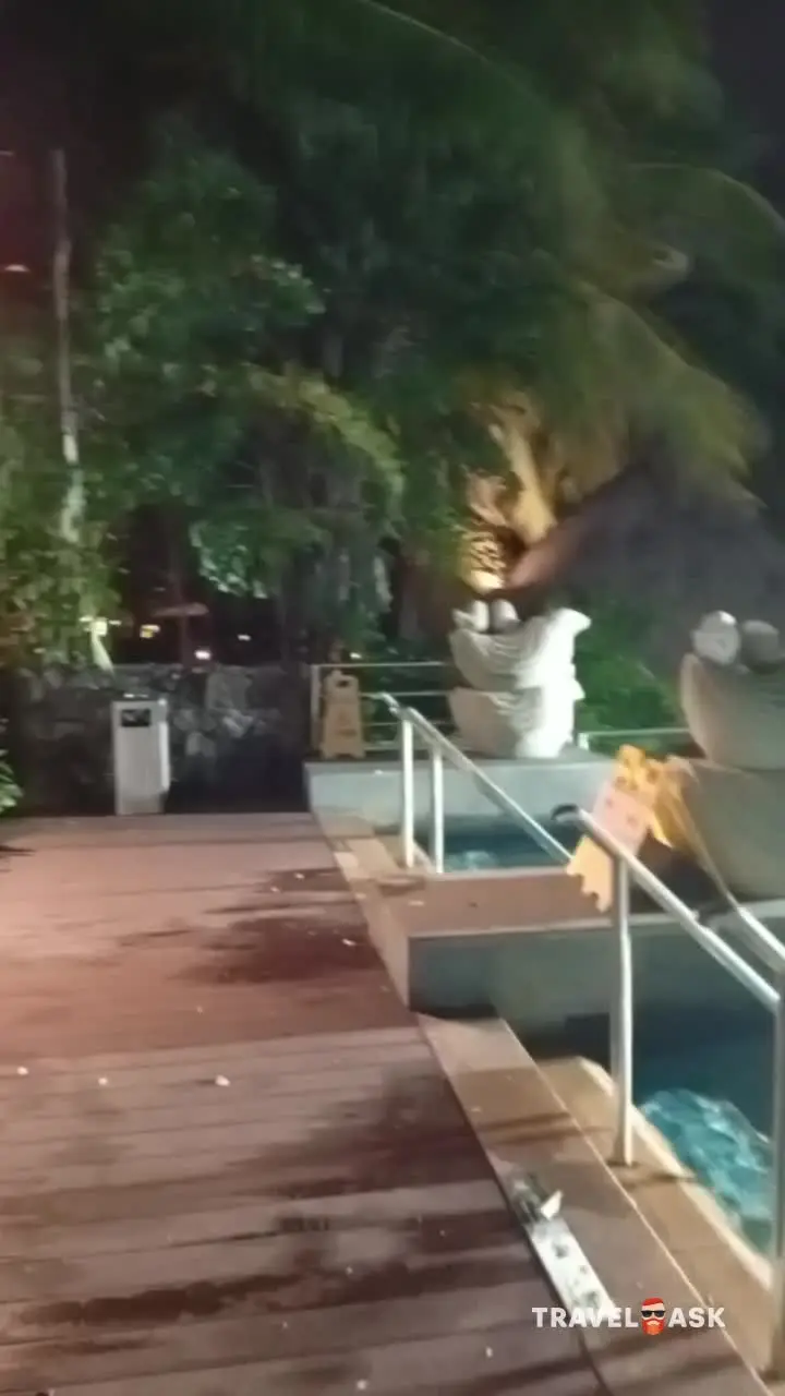 video__preview