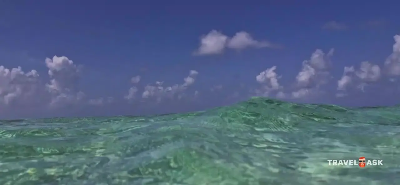 video__preview