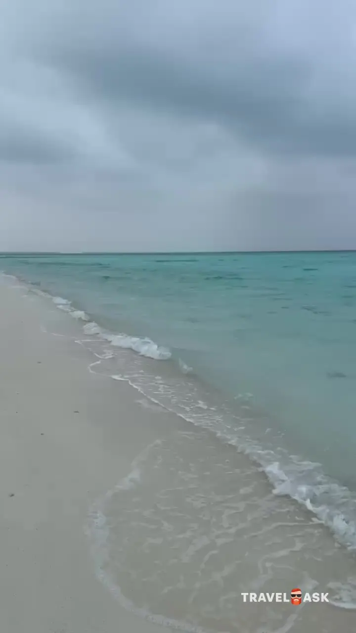 video__preview