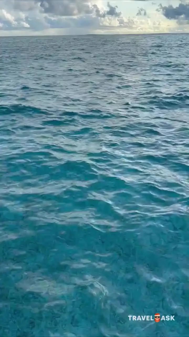 video__preview