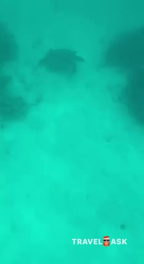 video__preview
