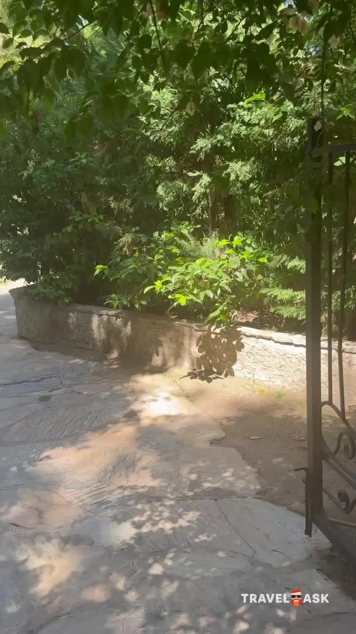 video__preview