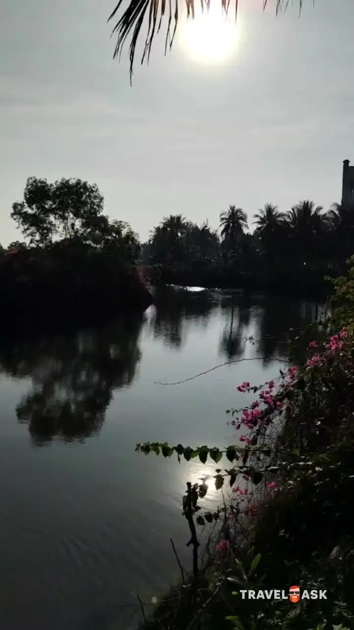 video__preview