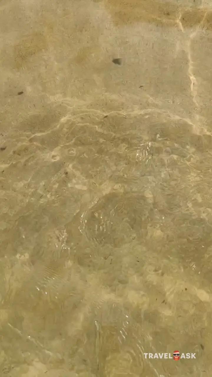 video__preview