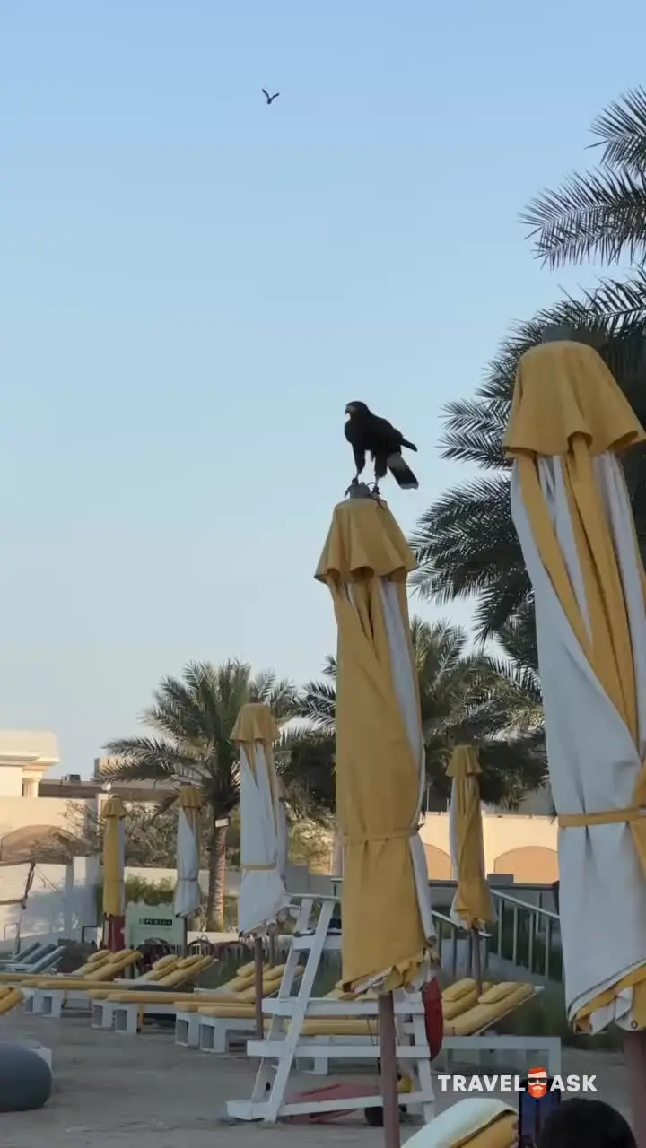 Vida Beach Resort Umm Al Quwain