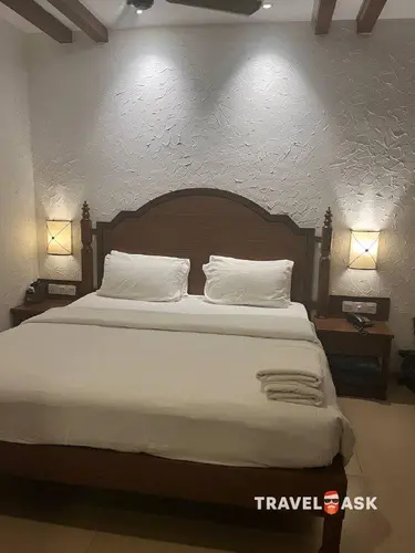 Adamo The Bellus (Ex. Sunkissed)