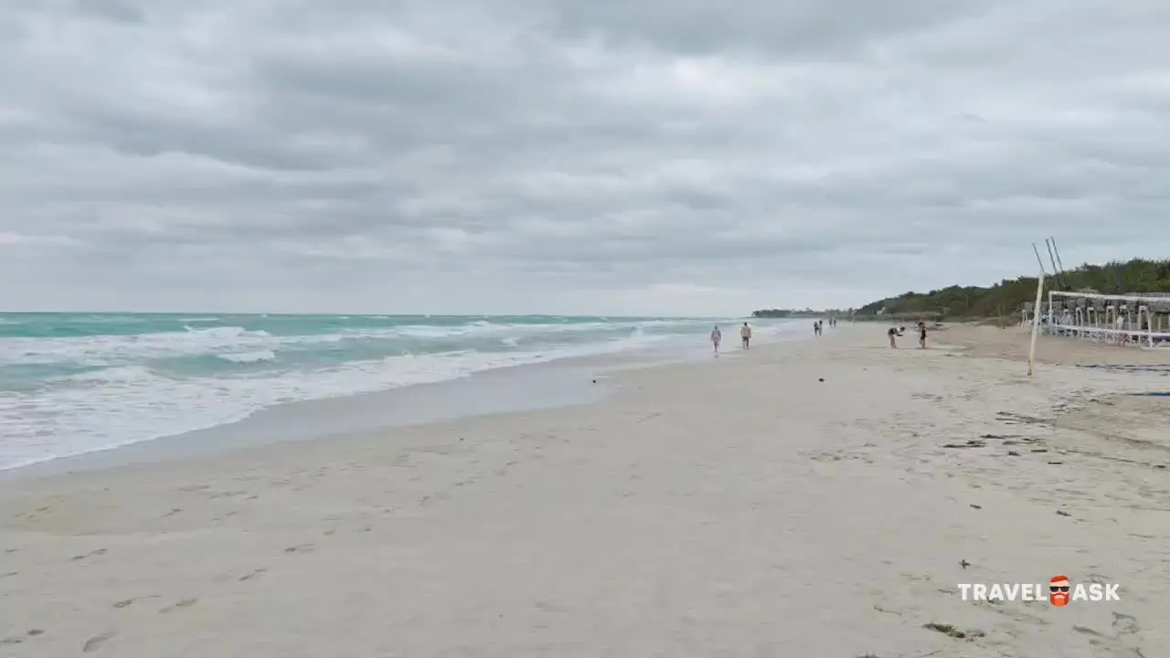video__preview